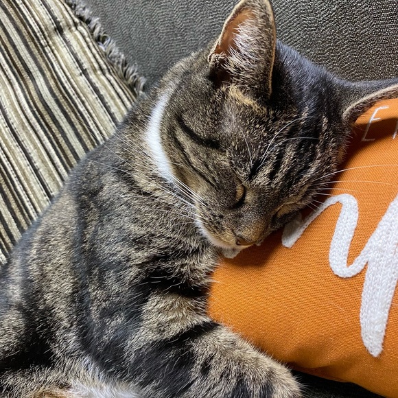 Meet your Posher, Lisa - Picture 1 of 1